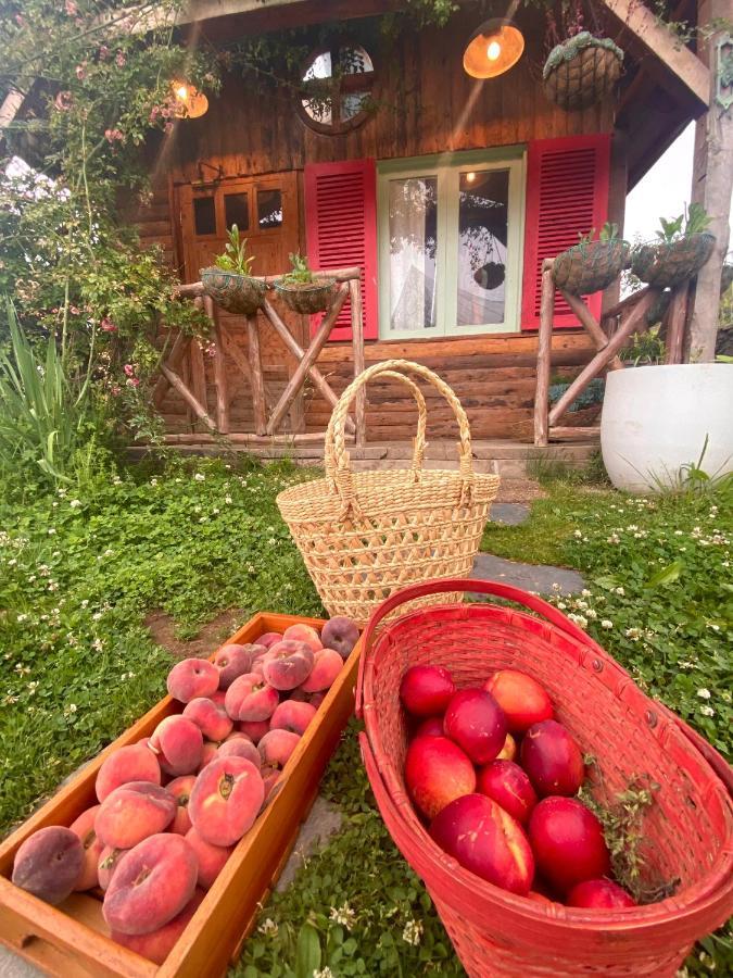 Meena Bagh Ratnari- An Apple Orchard Bungalow Bagi Exterior photo